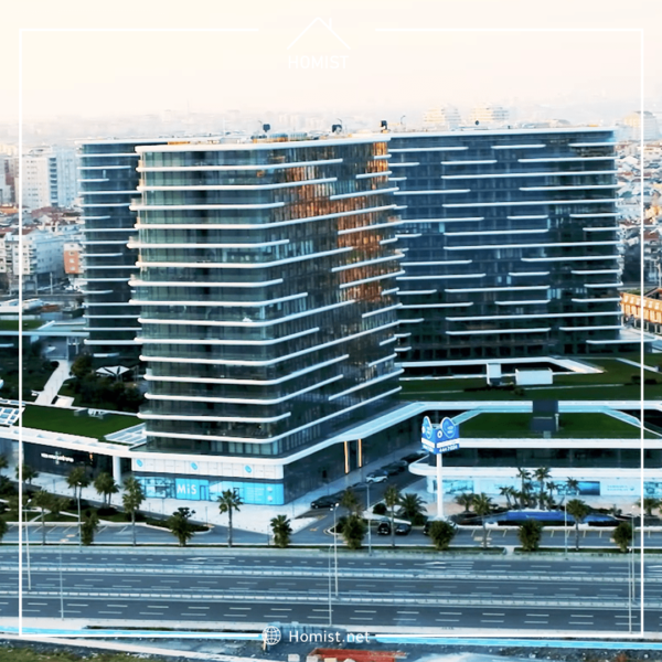 مشروع يدي مافي | Yedi Mavi