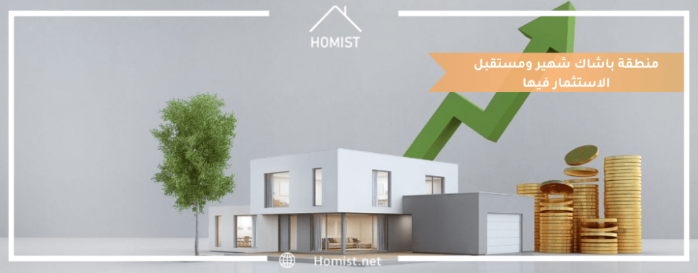 منطقة باشاك شهير ومستقبل الاستثمار فيها